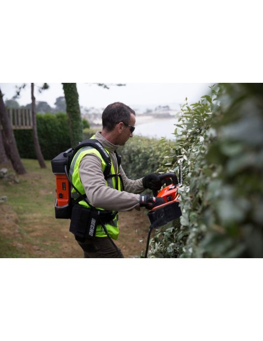 Batterie LBP 560 16Ah Echo - BEAUCAMP MOTOCULTURE