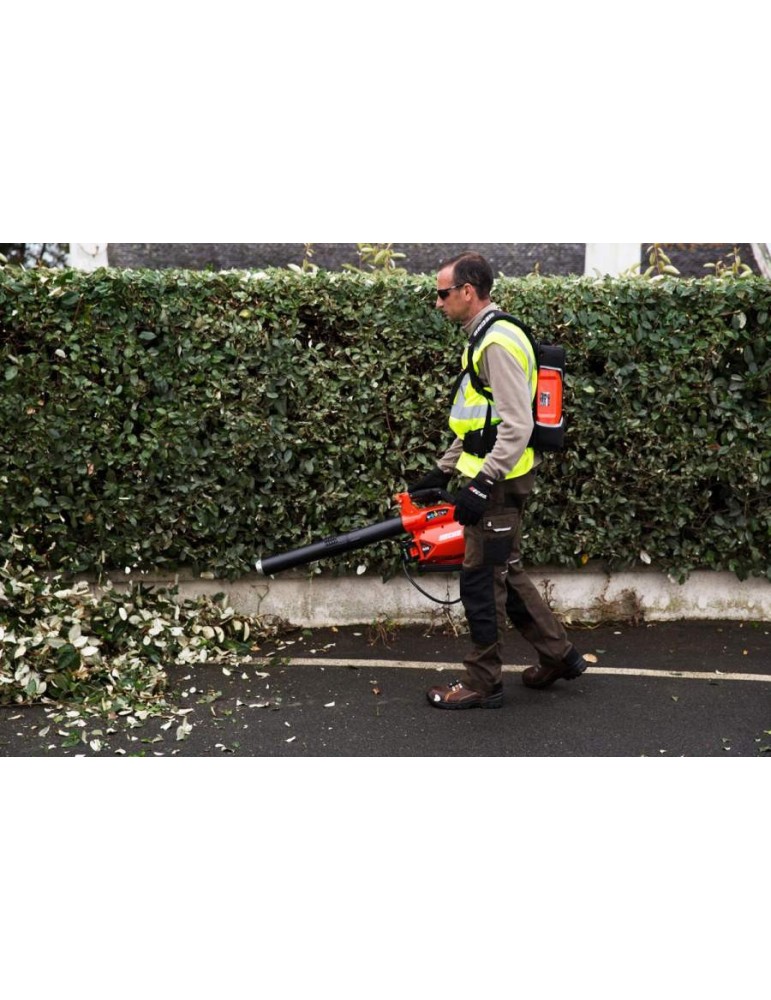 Batterie LBP 560 16Ah Echo - BEAUCAMP MOTOCULTURE