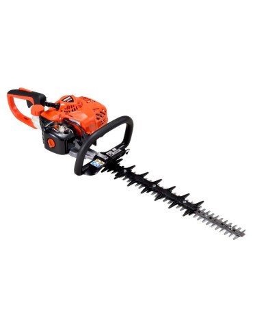 Echo HC 2020