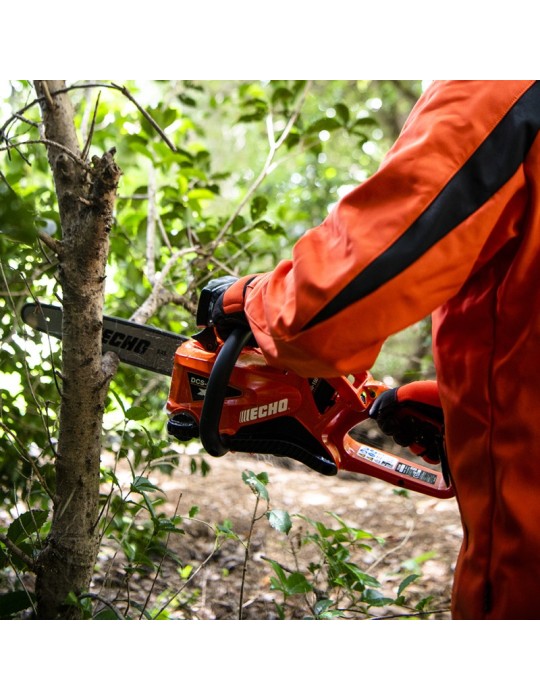 Tronçonneuse à batterie Echo DCS 2500 - BEAUCAMP MOTOCULTURE