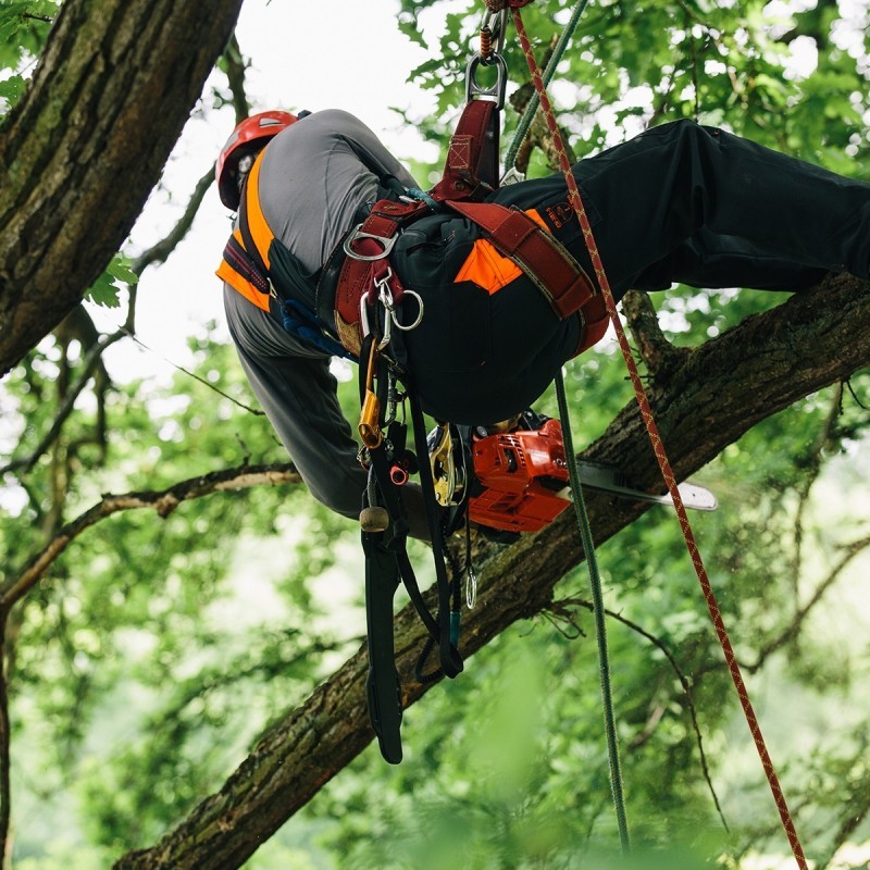 Elagueuse Echo CS 362TES - BEAUCAMP MOTOCULTURE