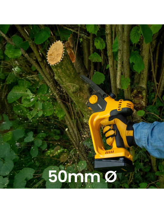 Sécateur + tronçonneuse batterie Stiga SP 100E - BEAUCAMP MOTOCULTURE