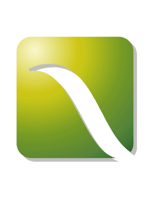 Batterie Staub STI 50 - BEAUCAMP MOTOCULTURE