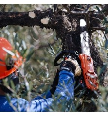 Tronçonneuse élagueuse Echo CS 2511TES la plus légère - BEAUCAMP MOTOCULTURE 2