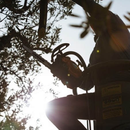 Tronçonneuse élagueuse Echo CS 2511TES la plus légère - BEAUCAMP MOTOCULTURE