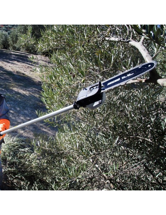 Perche élagueuse Echo PPF 236ES - BEAUCAMP MOTOCULTURE