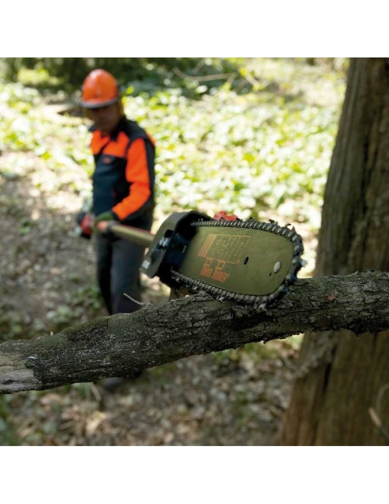 Elagueuse sur perche Echo PPT 2620ES - BEAUCAMP MOTOCULTURE