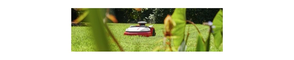 Découvrez l'ensemble des robots que nous distribuons.