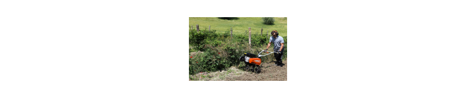 Au potager